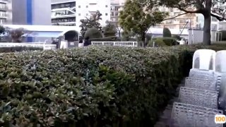 颜值不错的小骚牌带上好姐姐一起大秀直播赚外快，露脸黑丝按摩棒，一起揉奶玩逼给狼友看，叫的好骚精彩刺激第01集